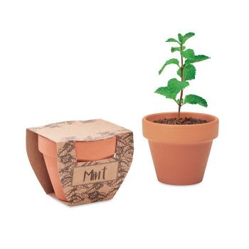 MINT POT Semínka máty v  květináčku wood