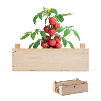 TOMATO Rajčatový set v přepravce wood