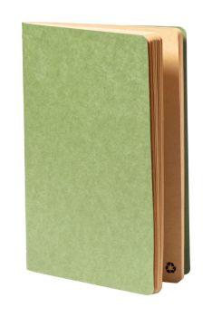 Rayish notebook green