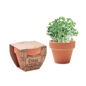 CRESS POT Semínka řeřichy v květináčku wood